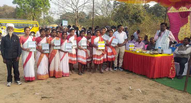 Bhasha Diwas 19