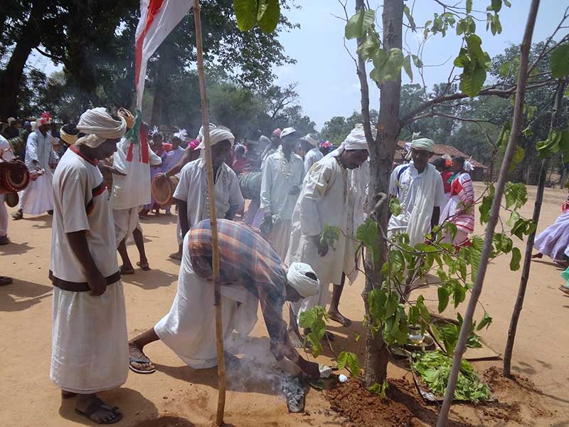 ख़द्दी परब (सरहुल त्योहार)