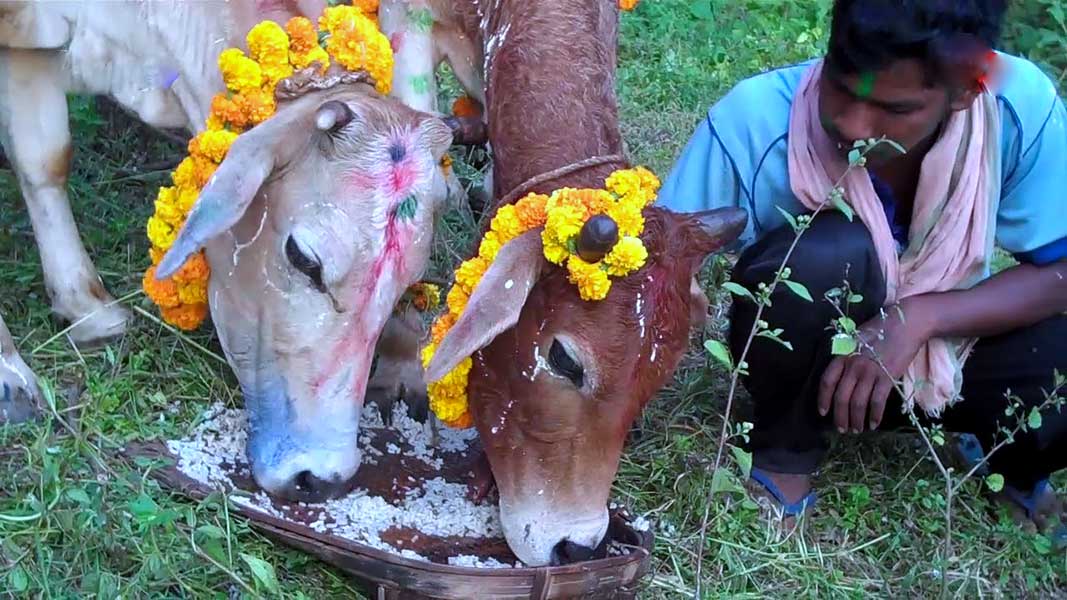 कुँड़ख़र अरा सोहराई परब