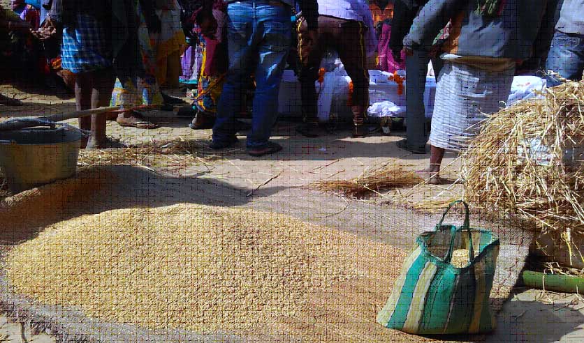 बीजिरपो (श्राद्ध हेतु एकत्र किया गया धन)