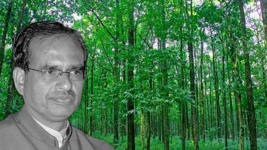 मध्यप्रदेश का 40 फीसदी जंगल निजी कंपनियों को देने का फैसला