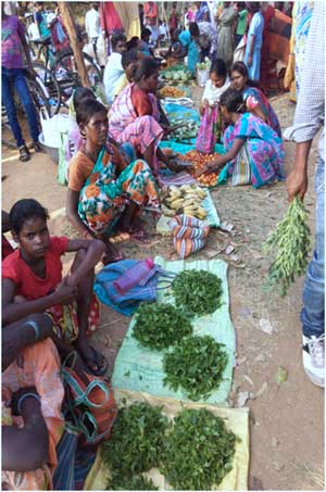 महिला कृषि