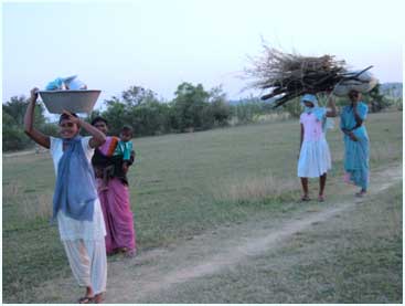 महिला कृषि