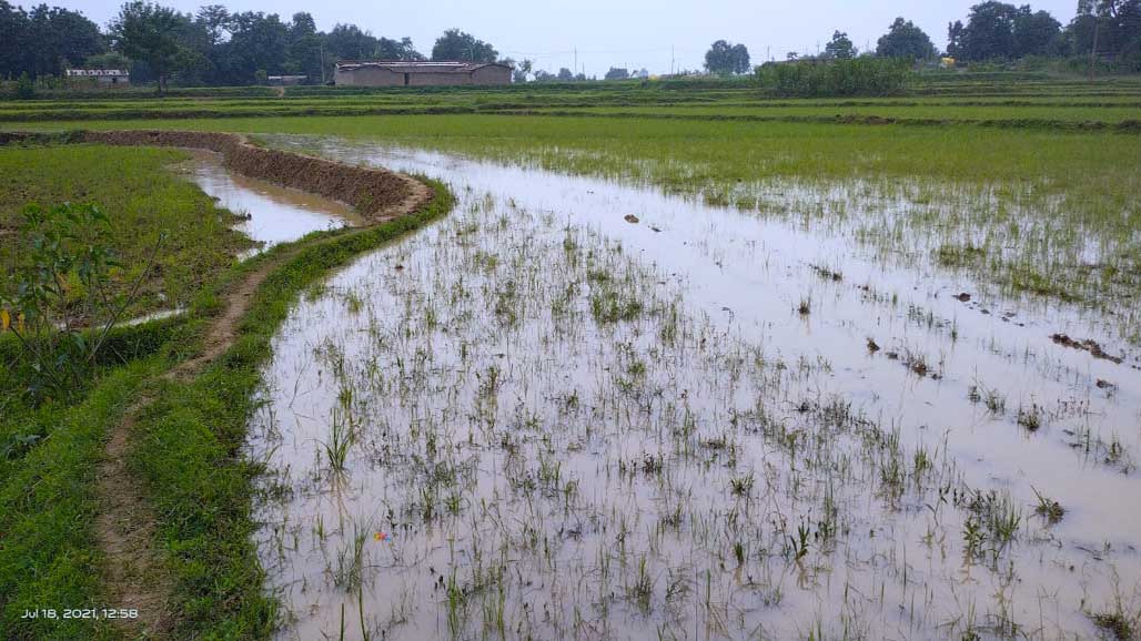 परम्परागत आदिवासी मौसम पूर्वानुमान का प्रथम चरण सही 