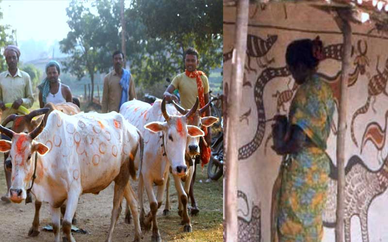 संताली आदिवासियों का पर्व सोहराय व वंदना : तैयारी शुरू