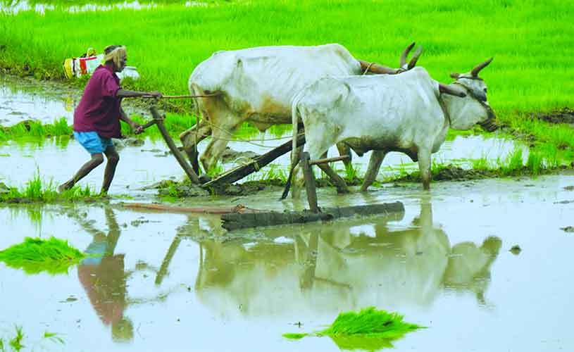 आदिवासी मौसम पुर्वानुमान पर जैव प्रौद्योगिकी विज्ञान आधारित शोध की आवश्‍यकता पर विचार हो