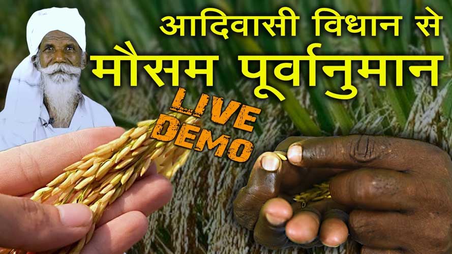 आदिवासियों में मौसम पूर्वानुमान की विधि : Method of weather forecasting in tribal