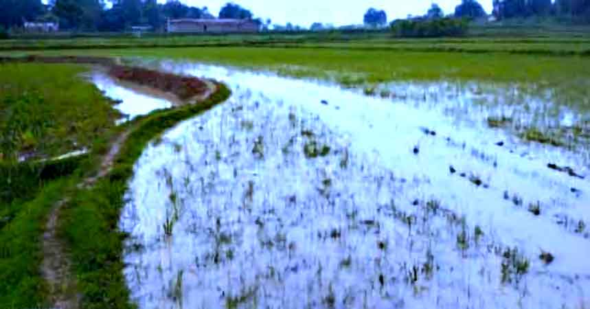 2021 में किये गए मौसम पूर्वानुमान की एक झलक