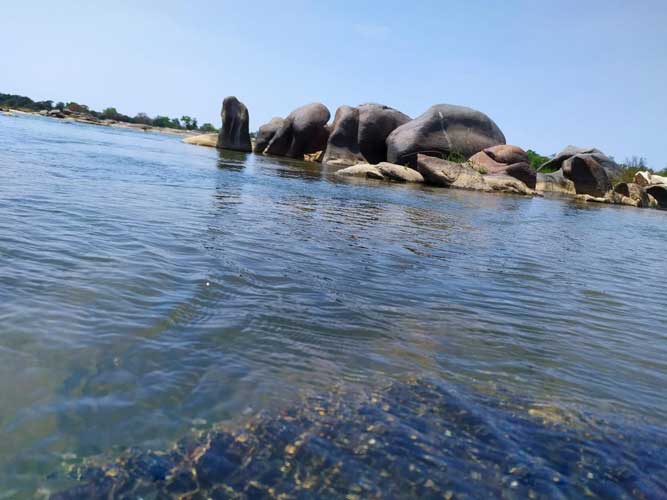 आज के समय में इंसान इंटरनेट में कैद है और प्राकृति से दूर है